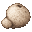 ホコリタケのパック内アイテム画像