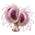 淋菌茸のパック内アイテム画像