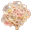ウレアプラズマ茸のパック内アイテム画像